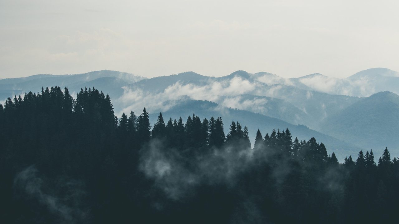 pexels-creative-vix-9754