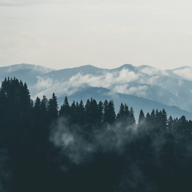 pexels-creative-vix-9754